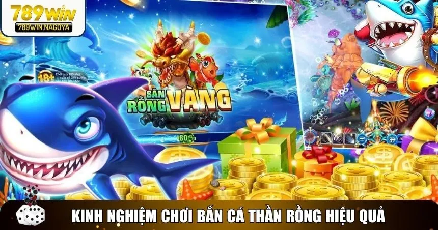 Kinh nghiệm chơi ăn cá lớn